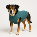 Solid Colour Cable Knit Merino Wool Round Neck Dog Sweater Farne